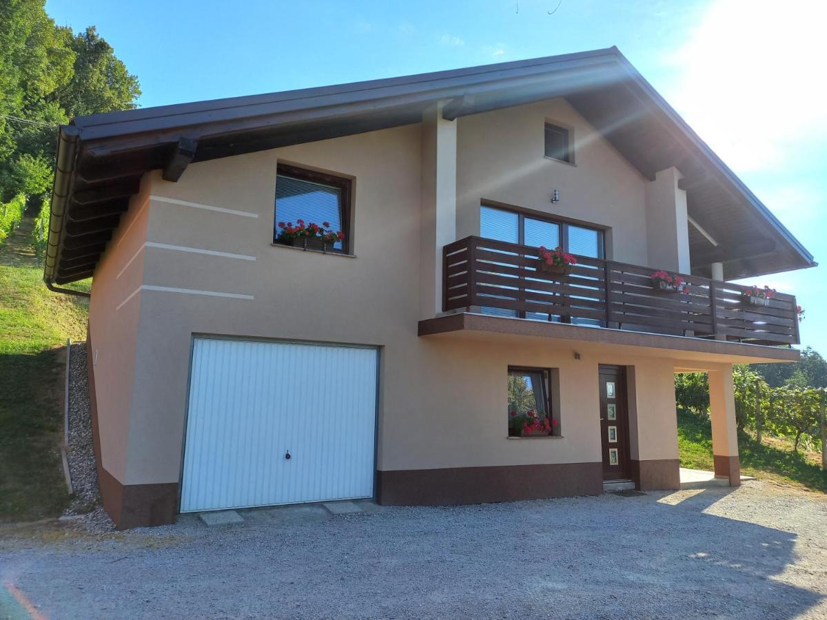 Nastanitev Nika Apartment Rogaska Slatina Ngoại thất bức ảnh