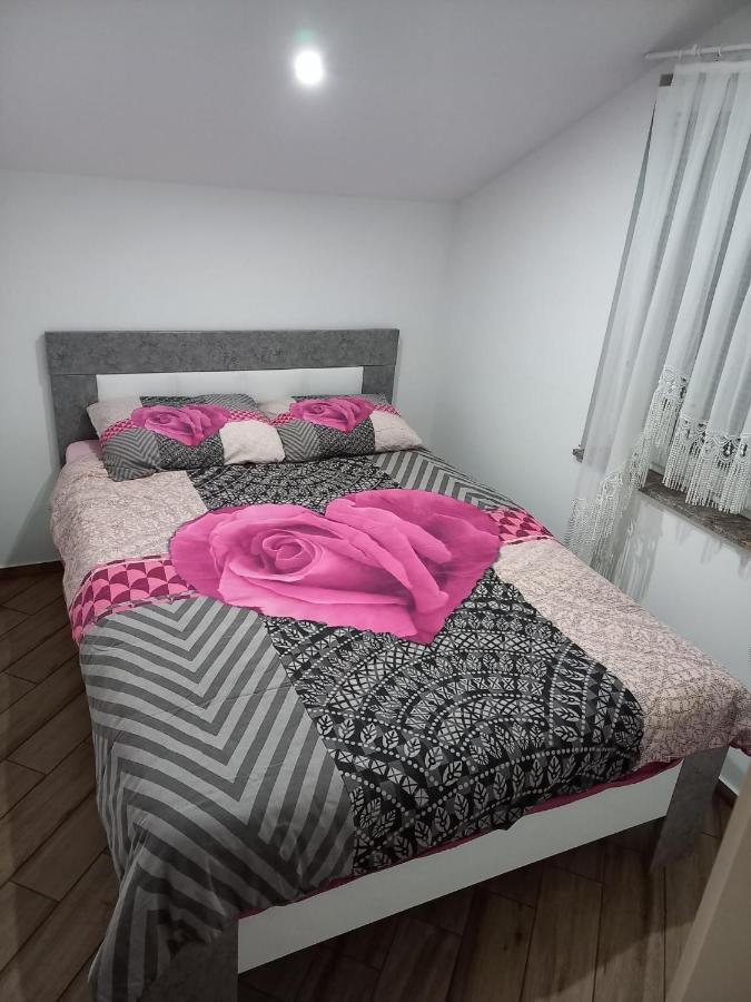 Nastanitev Nika Apartment Rogaska Slatina Ngoại thất bức ảnh